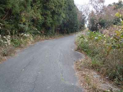 DSCN1502.JPG