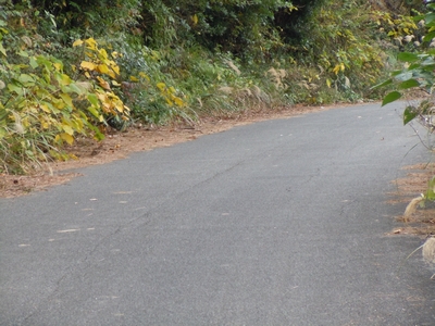 DSCN1503.JPG