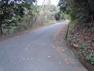 DSCN1504.JPG