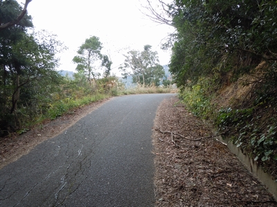 DSCN1506.JPG