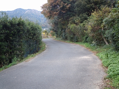 DSCN1511.JPG