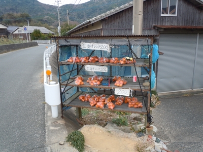 DSCN1523.JPG