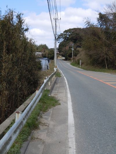 DSCN1597.JPG