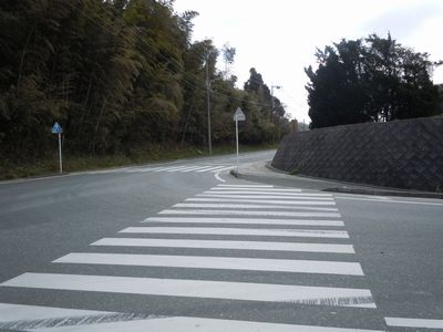 DSCN1599.JPG