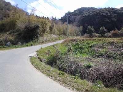DSCN1636.JPG