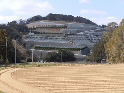 DSCN1637.JPG