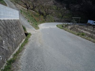DSCN1640.JPG