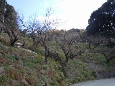 DSCN1641.JPG