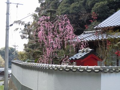 DSCN1643.JPG