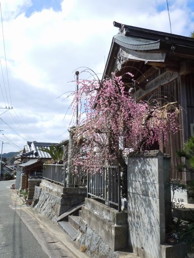 DSCN1644.JPG
