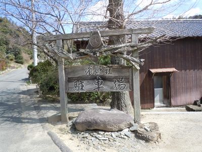 DSCN1645.JPG