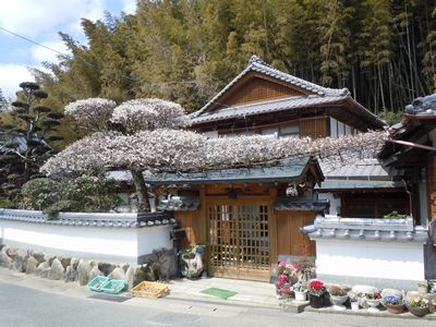 DSCN1646.JPG