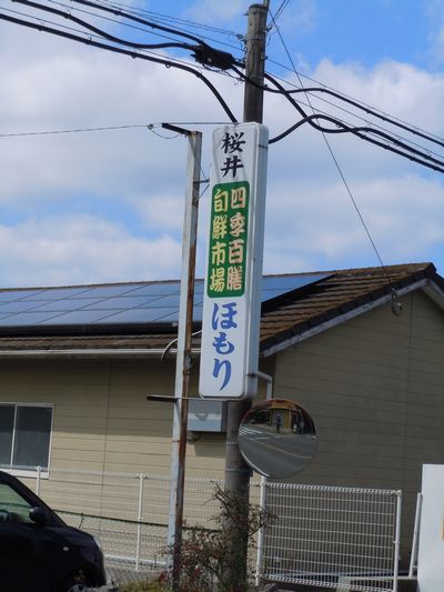DSCN1652.JPG