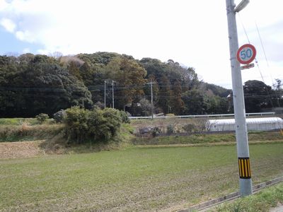 DSCN1655.JPG