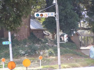 DSCN1659.JPG