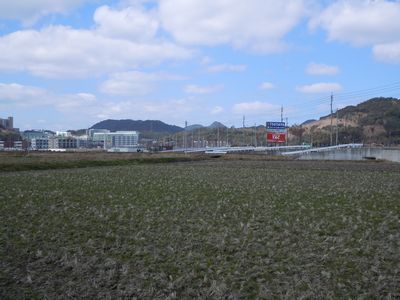 DSCN1668.JPG