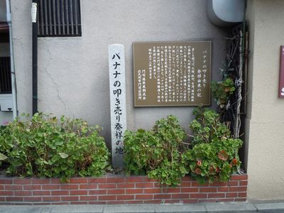 DSCN1749.JPG