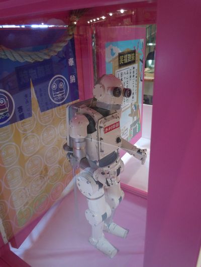 DSCN1812bro.jpg