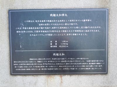 DSCN1968bro.jpg