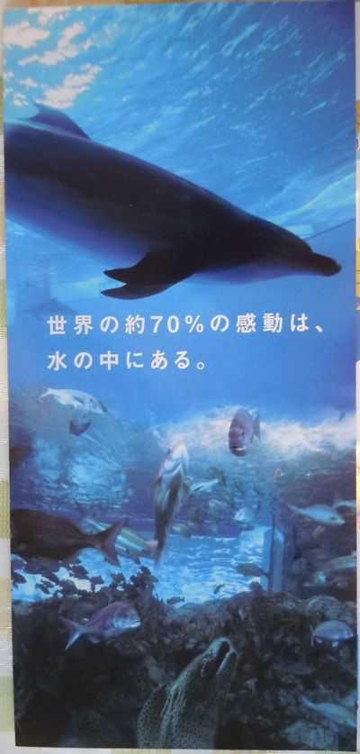 DSCN2119.JPG