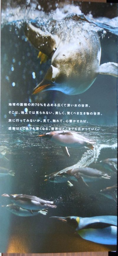DSCN2120.JPG