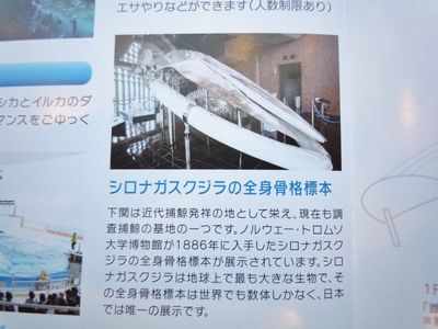 DSCN2126.JPG