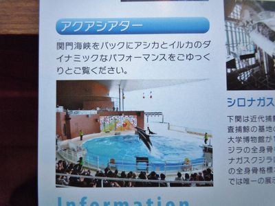 DSCN2127.JPG