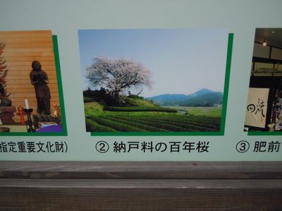 DSCN2142.JPG
