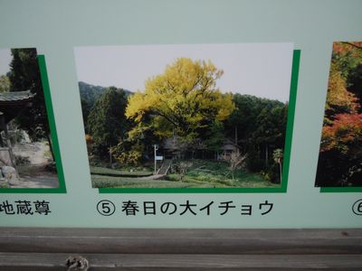 DSCN2145.JPG