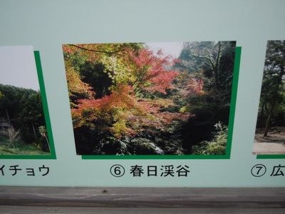 DSCN2146.JPG
