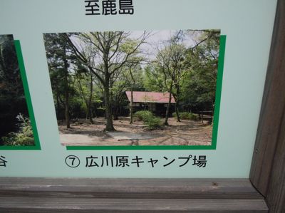 DSCN2147.JPG