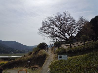 DSCN2158.JPG
