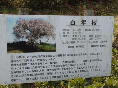 DSCN2159.JPG
