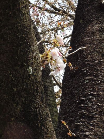 DSCN2165.JPG