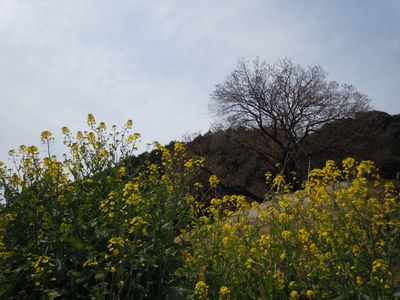 DSCN2166.JPG