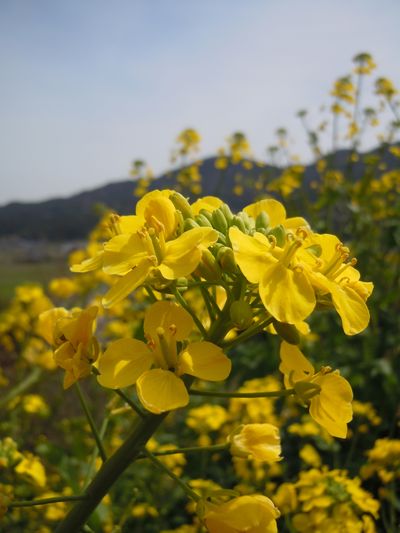 DSCN2172.JPG