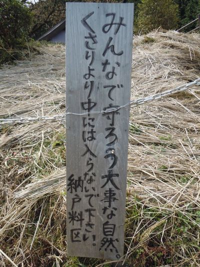DSCN2175.JPG