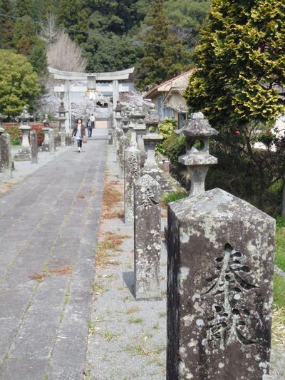 DSCN2179.JPG
