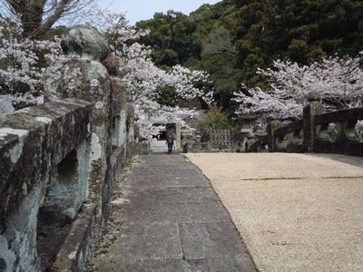 DSCN2183.JPG