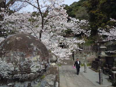 DSCN2184.JPG