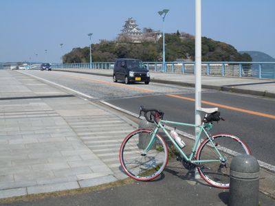 DSCN2248bro.jpg