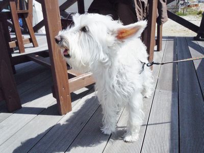 DSCN2267.JPG