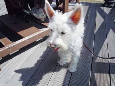 DSCN2270.JPG