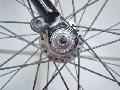DSCN2539bro.jpg