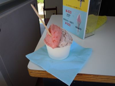 DSCN2684.JPG