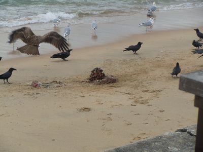 DSCN2935.JPG