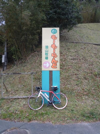 DSCN2967.JPG