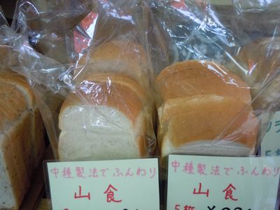 DSCN2986.JPG