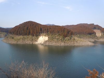 DSCN3036.JPG