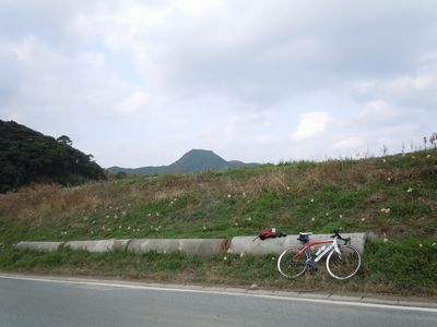 DSCN3041bro.jpg